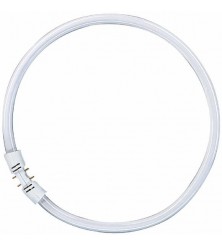 Lampada CFL, 2GX13, 22 W...