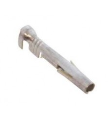 Molex Conector Plug CX59006