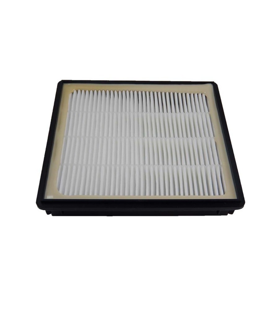 2 filtri HEPA / Allergie / Pollini / Filtro igienico di ricambio per Nilfisk Action, Action Plus Parquet/Pet Pack/Special