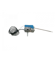TERMOSTATO 481010867971