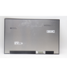 Display Lenovo 5D11L55815