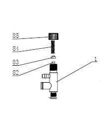 Assemblelagem da Valvula