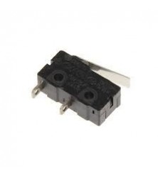 MICROSWITCH 10A 250V 2 pinos