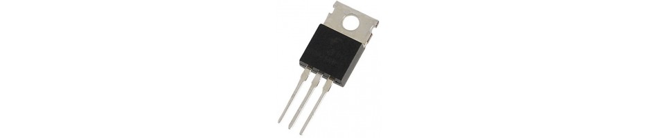 Transistores para Linha Castanha